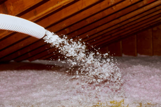 Trusted Addis, LA Insulation Contractor Experts